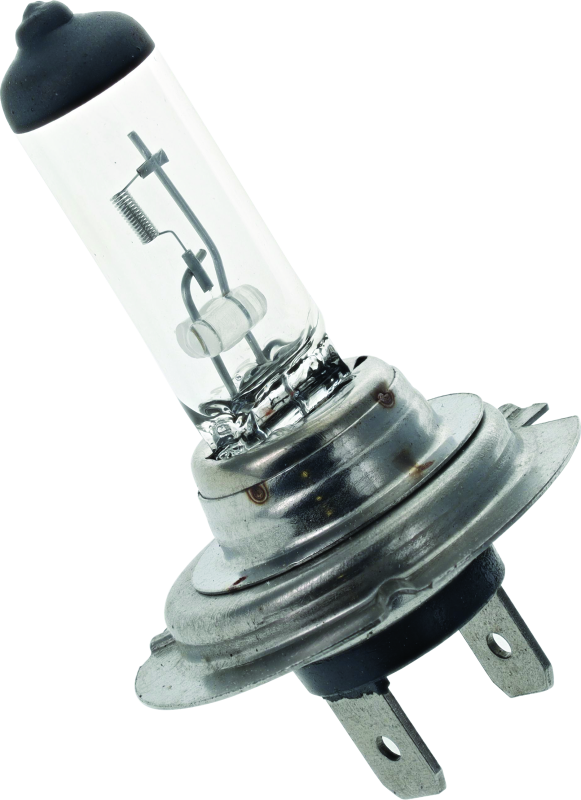 BikeMaster H-7 Halogen Bulb