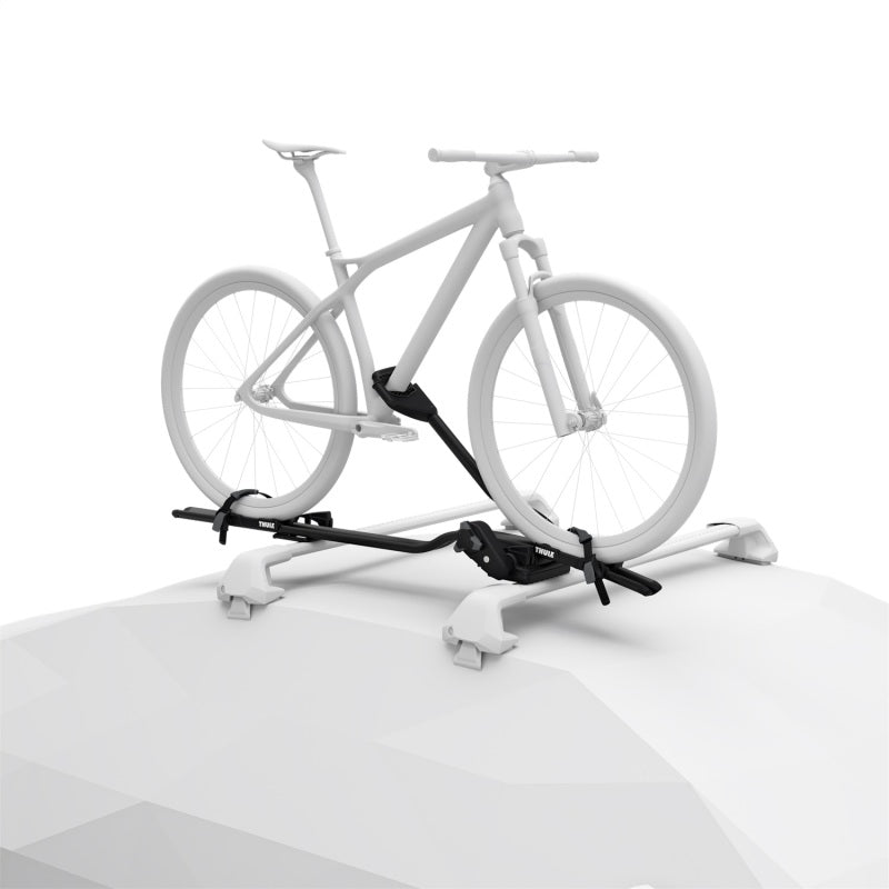 Thule ProRide XT - Upright Bike Carrier (Bikes up to 44lbs.) - Black