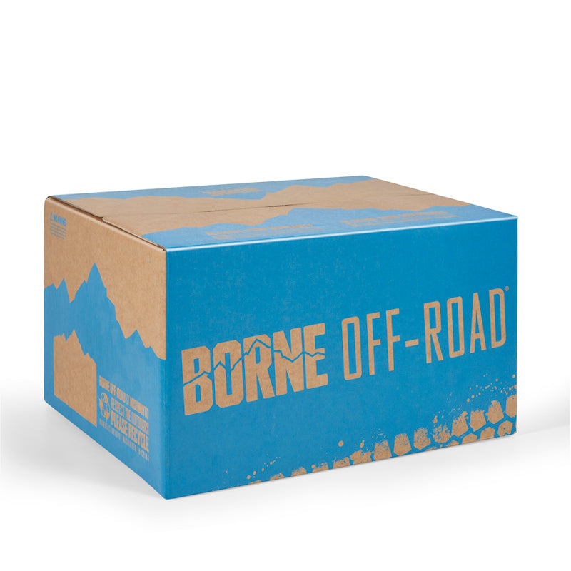 Borne Off-Road Vehicle Ratchet Tie-Down Kit (4 pack) Blue