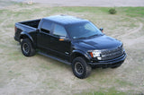 2010-2014 Ford Raptor OEM Style Hood