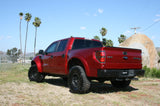 2010-2014 Ford Raptor Bedsides - 2.5" Bulge