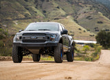 2015-2020 Ford F-150 Bedsides