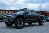 2015-2020 Ford F-150 Deberti Fenders